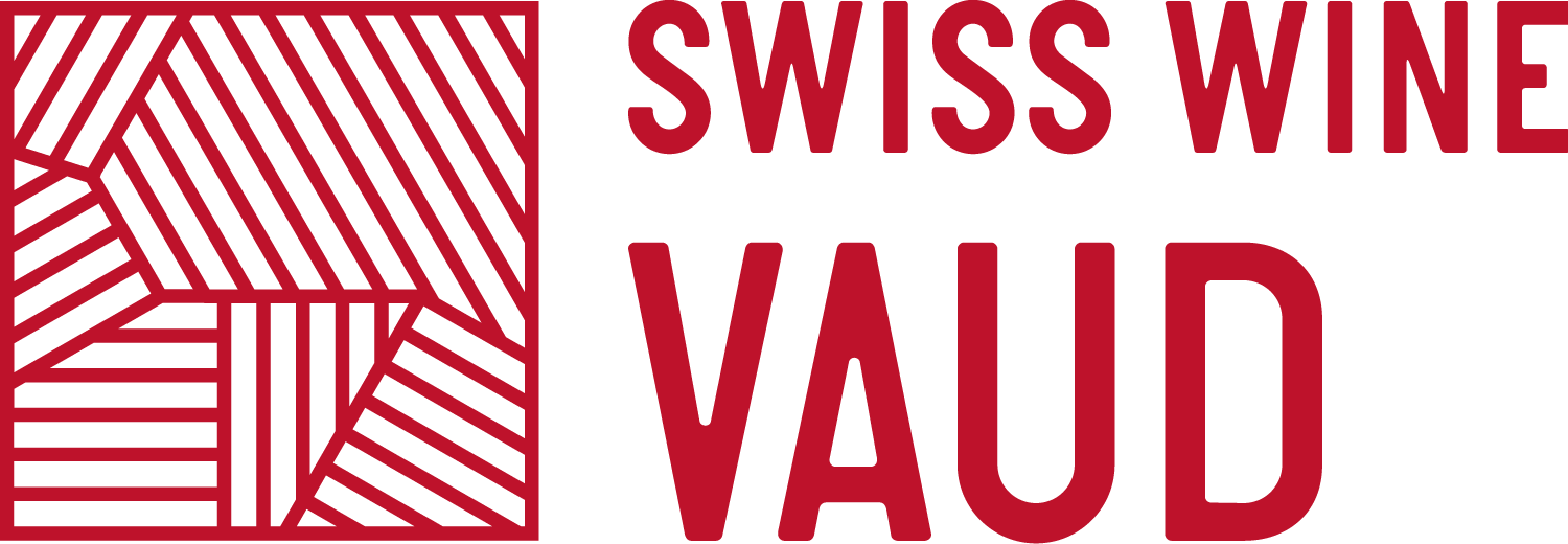 Logo-