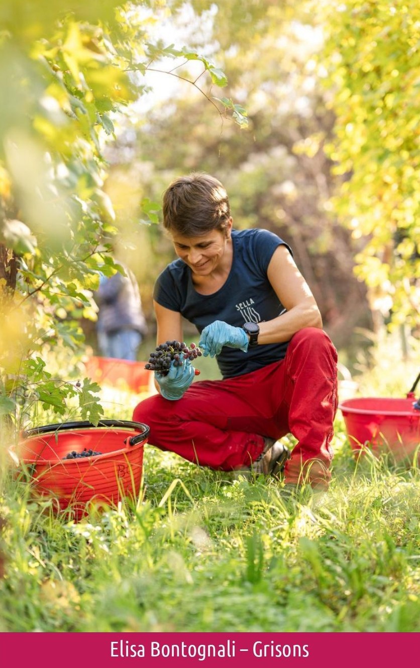 images/vigne-rolle/vigneronnes/Bontognali%20Elisa_page-0001.jpg#joomlaImage://local-images/vigne-rolle/vigneronnes/Bontognali Elisa_page-0001.jpg?width=836&height=1328