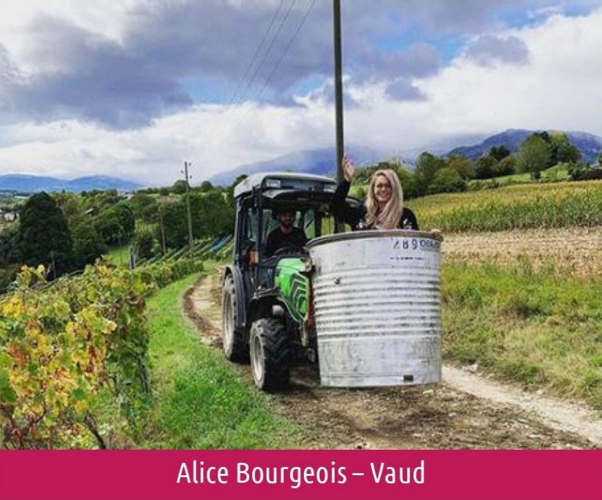 images/vigne-rolle/vigneronnes/Bourgeois%20Alice_page-0001.jpg#joomlaImage://local-images/vigne-rolle/vigneronnes/Bourgeois Alice_page-0001.jpg?width=874&height=726