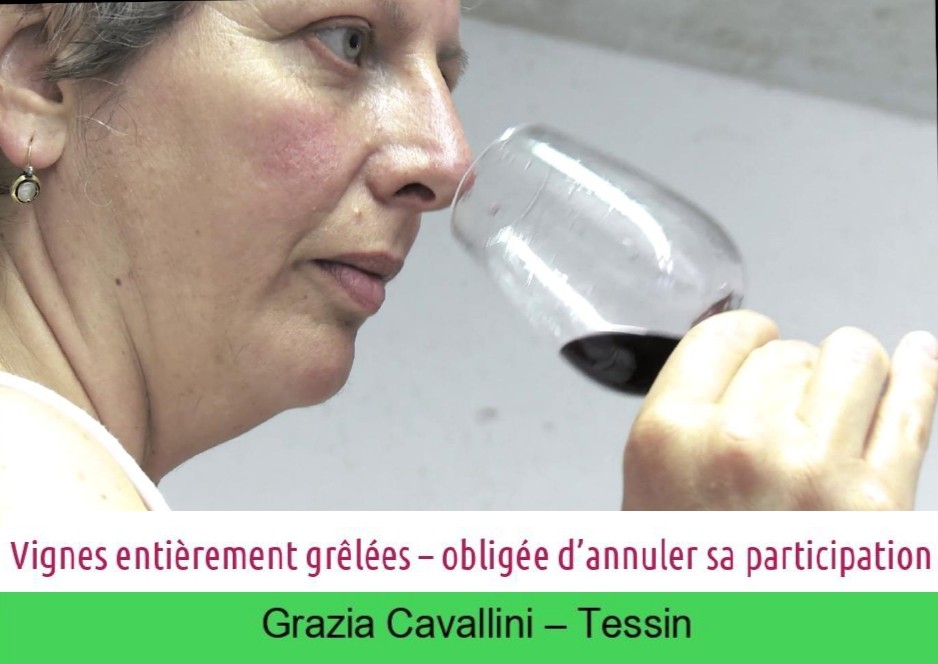 images/vigne-rolle/vigneronnes/Cavallini%20Grazia_annulation_vert.jpg#joomlaImage://local-images/vigne-rolle/vigneronnes/Cavallini Grazia_annulation_vert.jpg?width=938&height=664