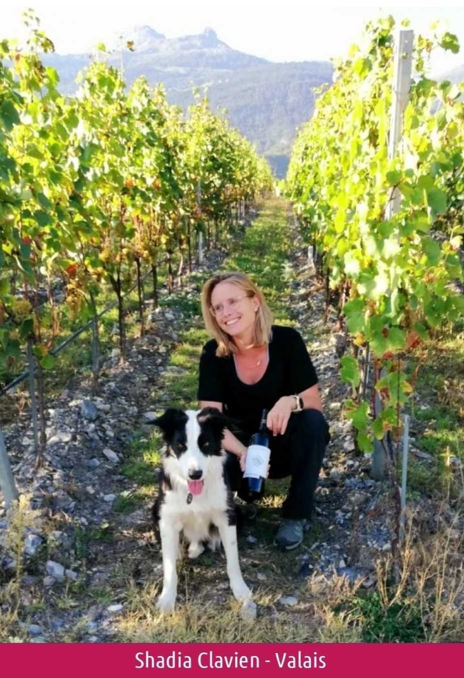 images/vigne-rolle/vigneronnes/Clavien%20Shadia.jpg#joomlaImage://local-images/vigne-rolle/vigneronnes/Clavien Shadia.jpg?width=927&height=1355