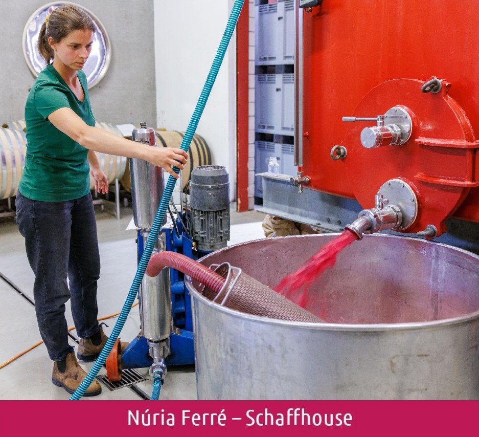 images/vigne-rolle/vigneronnes/Ferre%20Nuria%202026.jpg#joomlaImage://local-images/vigne-rolle/vigneronnes/Ferre Nuria 2026.jpg?width=937&height=854