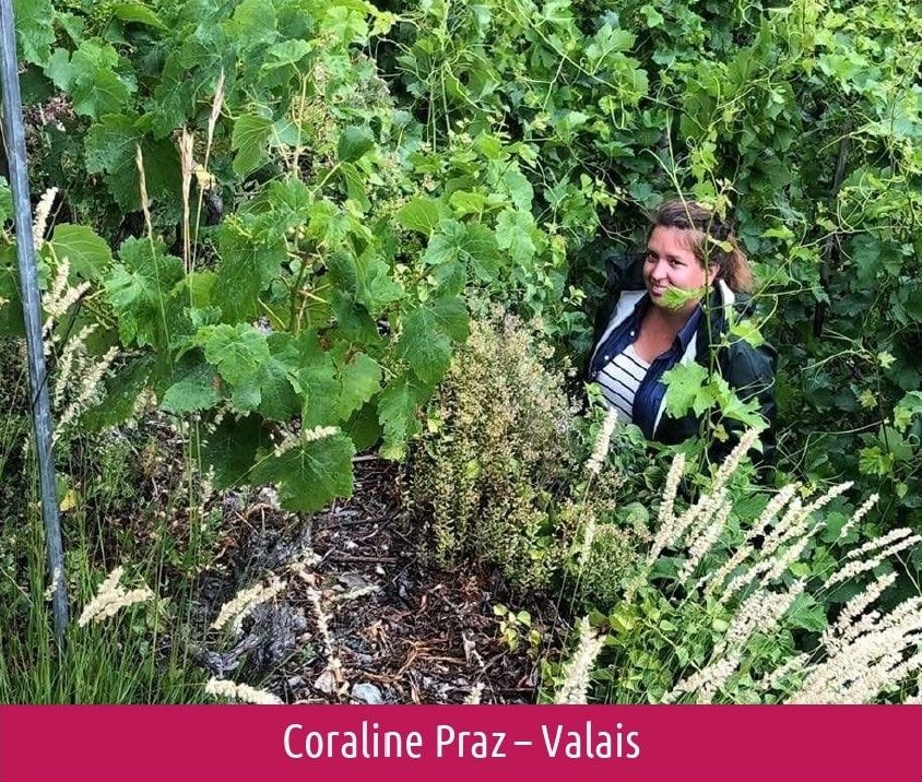 images/vigne-rolle/vigneronnes/Praz%20Coraline.jpg#joomlaImage://local-images/vigne-rolle/vigneronnes/Praz Coraline.jpg?width=844&height=716